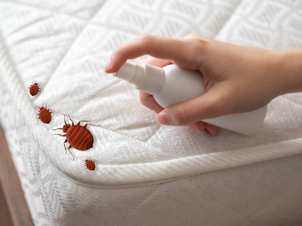 Best Pest Removal Services  in Doffing, TX